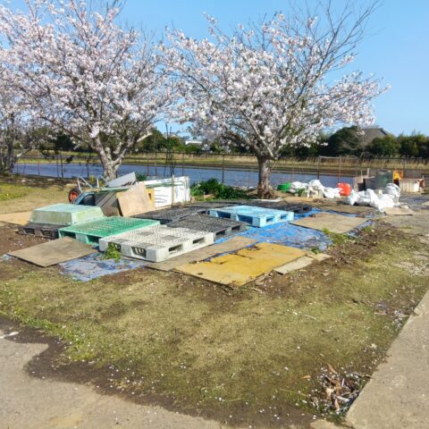 匝瑳市片付け